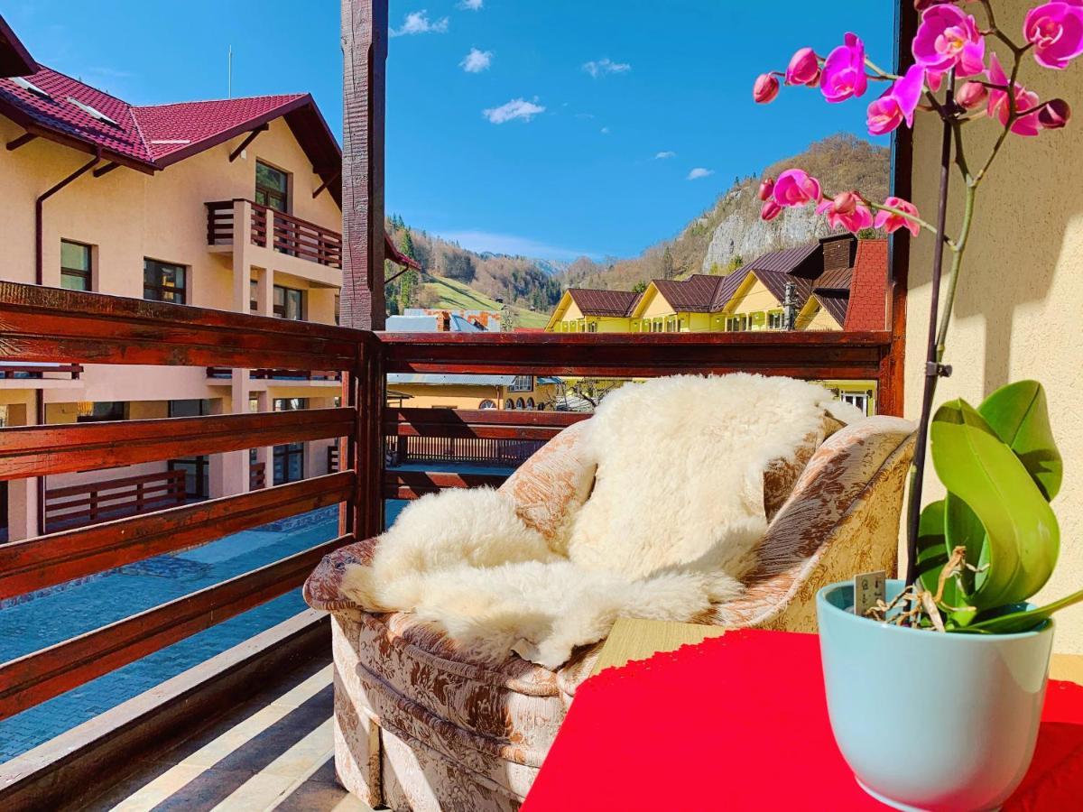 Hotel Casa Andu Dîmbovicioara Esterno foto
