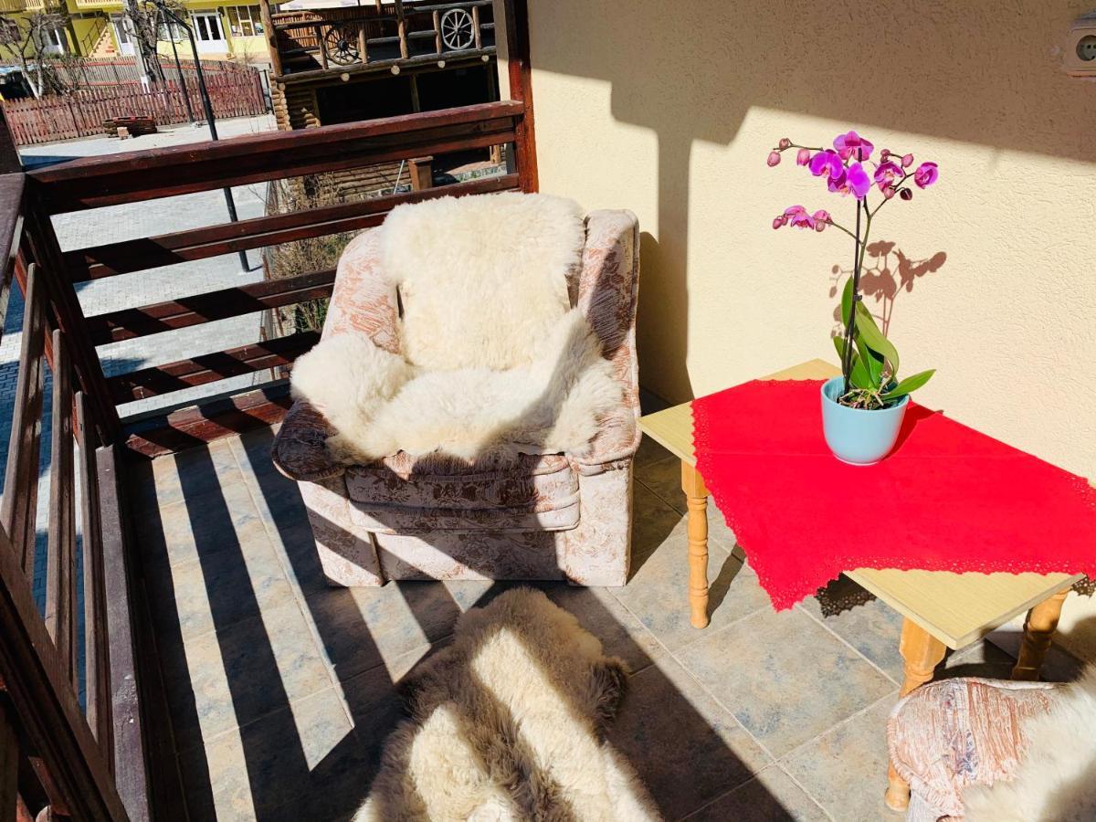 Hotel Casa Andu Dîmbovicioara Esterno foto